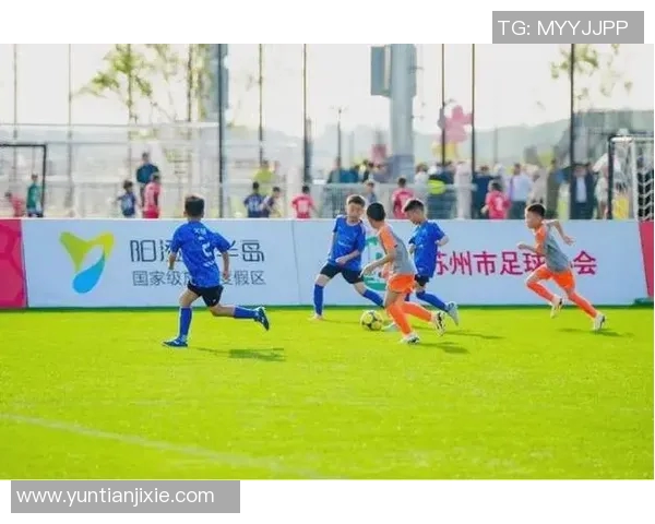 潍坊足球之旅揭秘哪些国际明星曾踏足这座城市