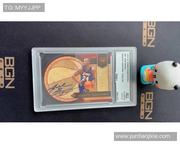 全明星篮球球星卡包装盒揭幕珍藏版限量发售引发收藏热潮