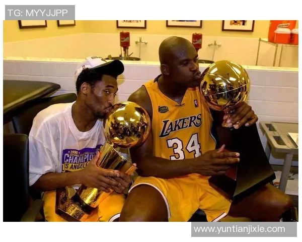 酒柜篮球明星的传奇故事与酒文化的完美融合